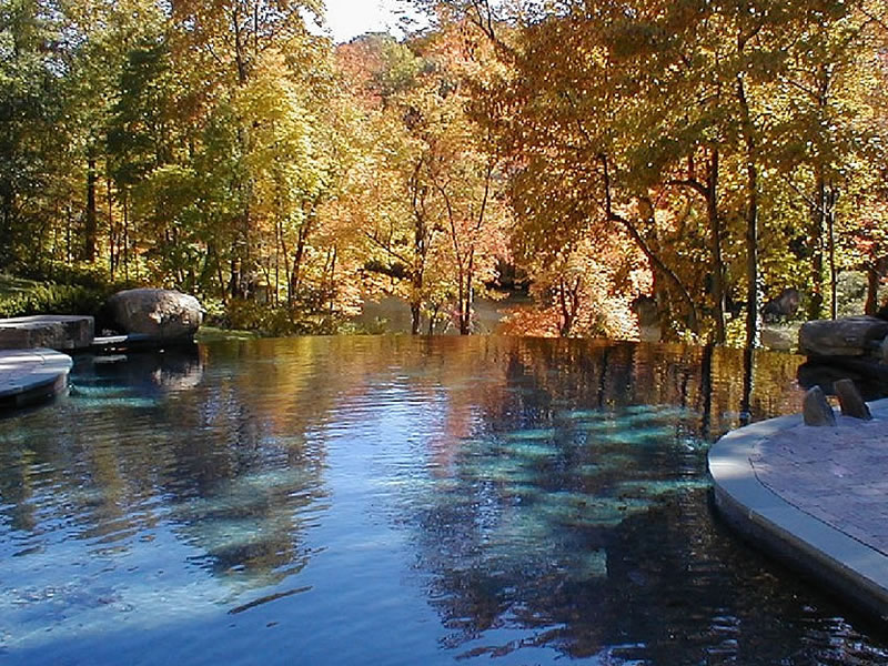 Mill Neck Pool Builder Paco Pools.jpg